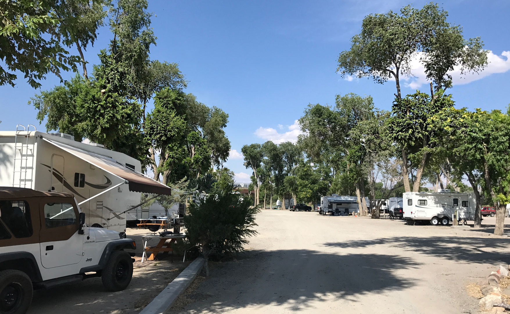 RV campground lined with trees and parked campers